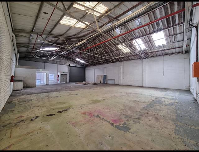 319M² WAREHOUSE TO LET IN BELLVILLE SOUTH